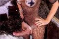 Foto Hot Incontro Trans Legnano Ale Cavallona - 12