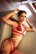 Foto Incontro Transescort Conegliano Moana - 30