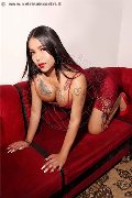 Foto Incontro Transescort Giussano Sofia Xxl - 47