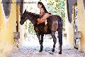 Foto Incontro Transescort Milano Gabriella Xxl Brasile - 70