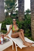 Foto Incontro Transescort Reggio Emilia Erotika Flavy Star - 405