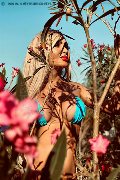 Foto Incontro Transescort Roma Chrystal Medeiros Pornostar - 35
