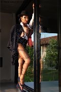 Foto Incontro Transescort Torino Mariana Ferraz - 41