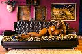 Foto Incontro Transescort Trieste Jessica Aryani - 18
