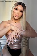 Foto Incontro Transescort Verona Angel Bunny - 1