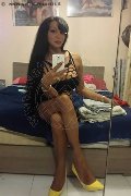 Bologna Trans Rosa Xxxl 328 74 36 345 foto selfie 50