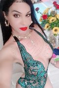 Bologna Trans Rosa Xxxl 328 74 36 345 foto selfie 67