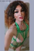 Bologna Trans Rosa Xxxl 328 74 36 345 foto selfie 22