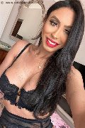 Gallarate Trans Thayys Castro 329 72 89 046 foto selfie 23