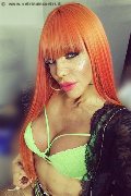 Massa Trans Wanessa Armani 351 80 69 231 foto selfie 69