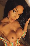 Massa Trans Wanessa Armani 351 80 69 231 foto selfie 4