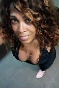 Milano Trans Paolina Mulatta 333 29 10 933 foto selfie 11