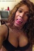 Milano Trans Paolina Mulatta 333 29 10 933 foto selfie 4