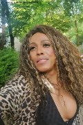 Milano Trans Paolina Mulatta 333 29 10 933 foto selfie 17