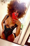 Milano Trans Stella Ricci 329 55 63 971 foto selfie 1