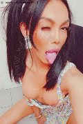Modena Trans Mulan Asiatica 393 13 82 607 foto selfie 6