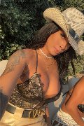 Napoli Trans Arianna Ferrari Pornostar 389 61 78 417 foto selfie 6