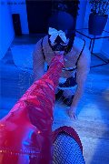 Treviso Trans Valeria 338 87 18 849 foto selfie 55