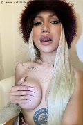 Verona Trans Angel Bunny 347 46 42 611 foto selfie 1