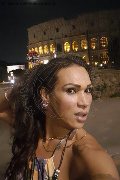 Verona Trans Jhoany Wilker Pornostar 334 73 73 088 foto selfie 40
