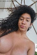 Torino Trans Escort Amanda Ferr� 347 53 82 615 foto selfie 1