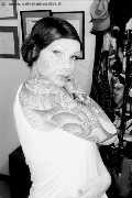 Treviso Trans Escort Valeria 338 87 18 849 foto selfie 561