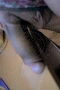 Foto Hot Incontro Transescort Cassano Delle Murge Monique - 34