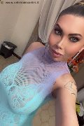 Martinsicuro Trans Dafne Pornostar 380 14 22 205 foto selfie 14