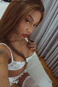 Milano Trans Hillary Brasiliana 338 41 36 322 foto selfie 10
