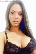 Treviso Trans Ana Paola Tx 350 92 71 150 foto selfie 20