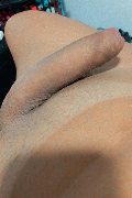 Bergamo Trans Escort Milla Dotata 393 29 12 055 foto selfie 1