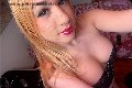 Lucca Trans Escort Vanessa 350 92 06 290 foto selfie 10