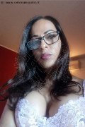 Rovigo Trans Escort Nikol 328 37 34 891 foto selfie 1