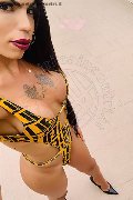 Vada Trans Escort Rayla Rios 329 38 77 403 foto selfie 10